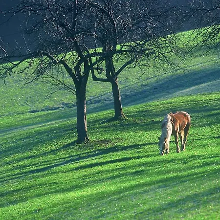 Feriegård Tourist Farm Ljubica