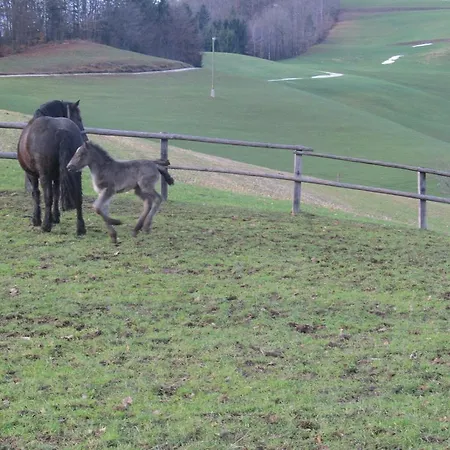 Tourist Farm Ljubica Poljane nad Škofjo Loko