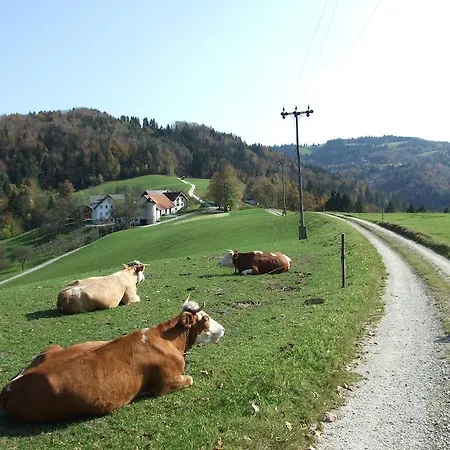 Tourist Farm Ljubica Poljane nad Škofjo Loko