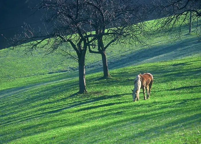 Smještaj na farmi Tourist Farm Ljubica