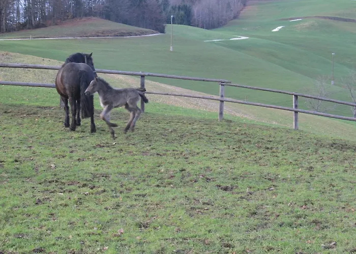 Tourist Farm Ljubica Poljane nad Skofjo Loko