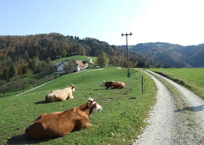 Tourist Farm Ljubica Poljane nad Skofjo Loko